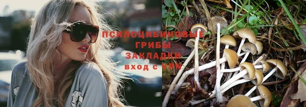 винт Белоозёрский
