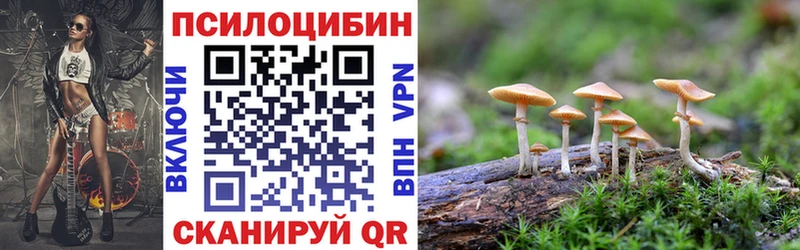 продажа наркотиков  Невельск  Галлюциногенные грибы GOLDEN TEACHER 